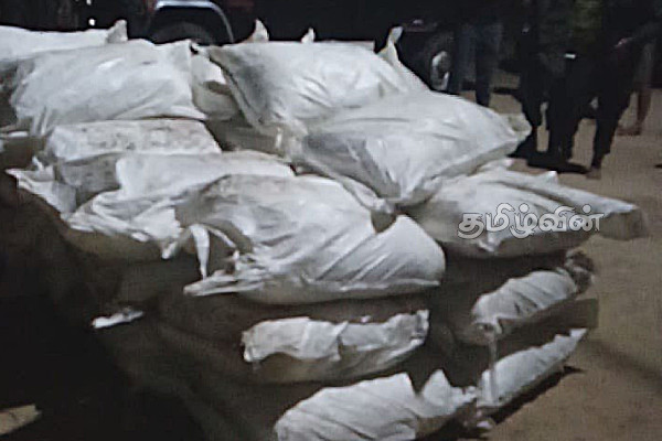 இராணுவத்தினரால் பெருந்தொகை மஞ்சள் மீட்பு | Large Amount Of Turmeric Recovered By Army