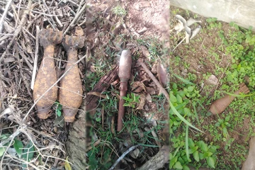 வவுனியாவில் மோட்டார் குண்டுகள் மீட்பு! (Photos)