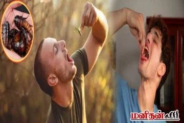 தினமும் 100 பூச்சிகளை உயிரோடு சாப்பிடும் இளைஞர்! 4 வயதிலிருந்தே இந்த வினோத பழக்கம்