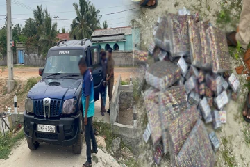 மன்னாரில் போதை மாத்திரைகளுடன் இளைஞர் கைது