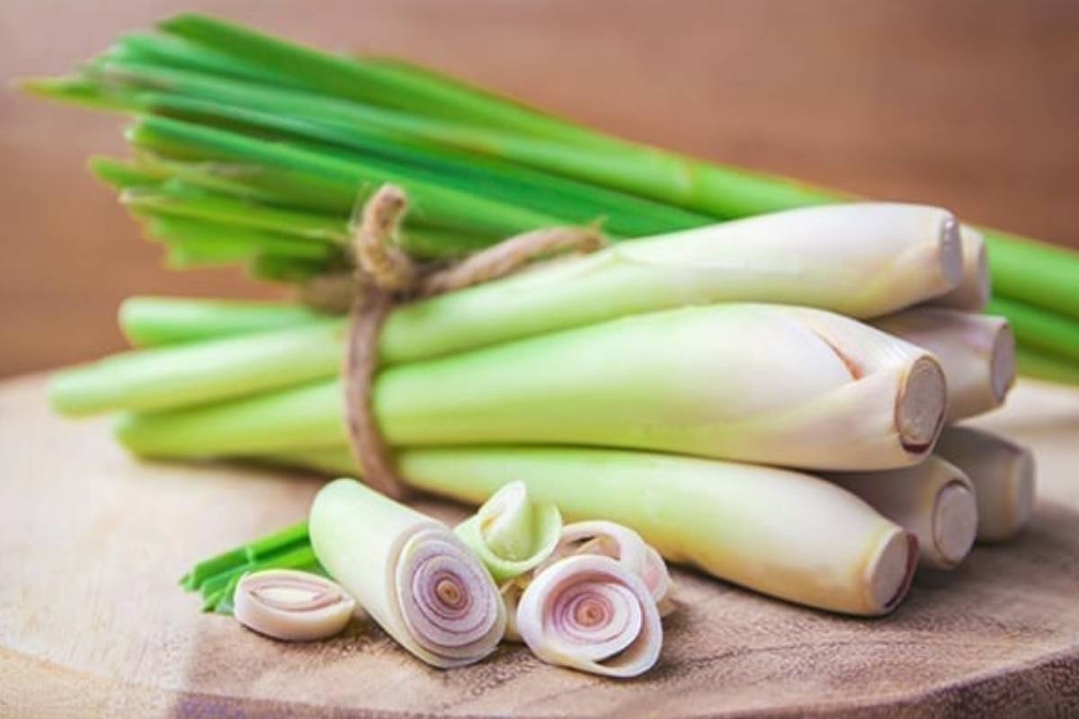 வீடே மணக்கும் லெமன் கிராஸ் ரசம் - எப்படி செய்யணும்... ரெசிபி இதோ | Lemon Grass Rasam How To Make This Recipe