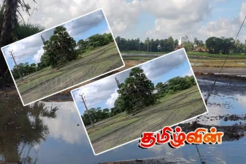 வவுனியாவில் 7ஆயிரத்திற்கு மேற்பட்ட ஏக்கர் நெற்செய்கை பாதிப்பு! விவசாயிகள் கவலை..