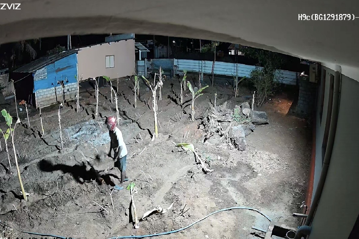 தமிழர் பகுதியில் நள்ளிரவில் பெண்ணின் வீட்டிற்குள் புகுந்து நடத்தப்பட்ட செயல் ; மர்ம நபரால் பரபரப்பு | Midnight Break In At House Shocks Residents