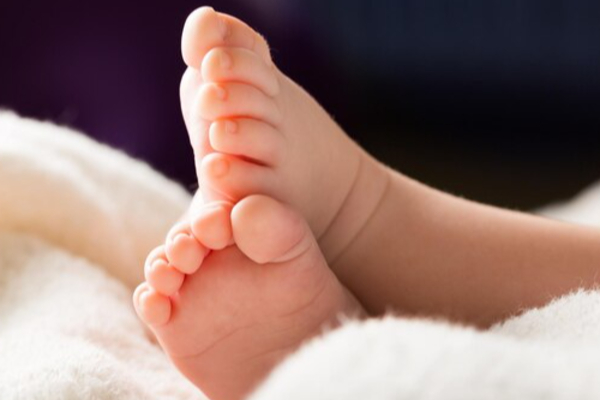 கர்ப்பிணி தாய்மார்கள் தொடர்பில் வெளியான தகவல் | Information About Pregnant Mothers