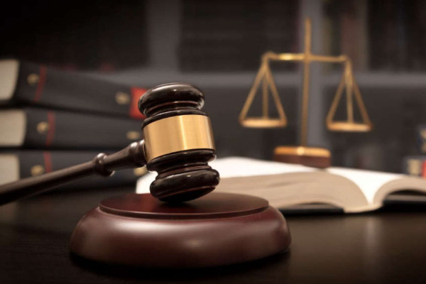 செல்லப்பிராணியால் நீதிமன்றம் செல்லும் நிலைக்கு ஆளாகியுள்ள பெண் | Zurich Women To Pay Penalty For Refuse Cat Surgery