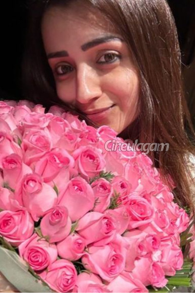 ஹிந்தி படங்களில் நடிக்காததற்கு காரணமே இதுதான்- நடிகை த்ரிஷாவே கூறிய பதில் | Reason Why Trisha Not Acted In Hindi Films