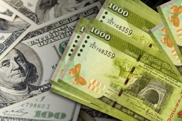 வெளிநாடுகளில் தொழில்புரிவோரின் வருமானம் குறித்து இலங்கை அரசாங்கம் வெளியிட்டுள்ள தகவல்