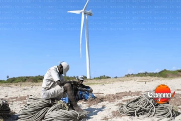 ජනතා විරෝධය නොතකා මන්නාරම් දූපතේ සැලසුම් කළ සුළං විදුලි බලාගාර ඉදි කරයි ද?