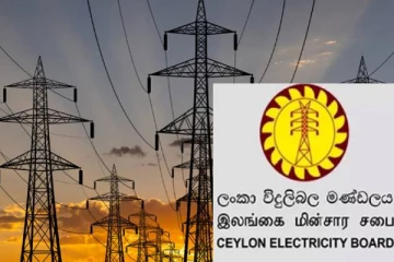 இலங்கை மின்சார சபைக்கு வழங்கப்பட்டுள்ள அனுமதி!