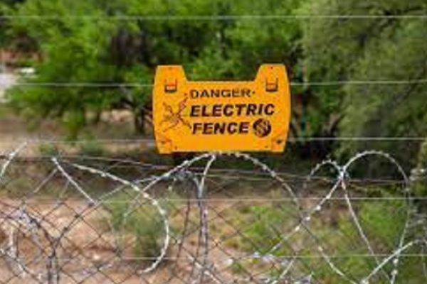 சட்டவிரோத மின்வேலியால் காட்டு யானையை கொன்றவர்கள் கைது | Illegal Electric Fence Kills Elephant