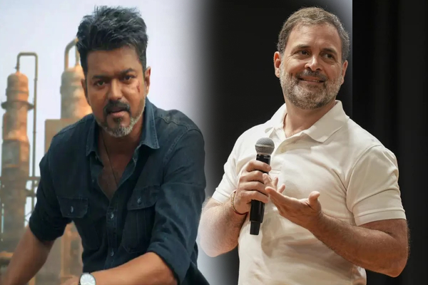 நடிகர் விஜய்யின் ஜனநாயகனுக்கு காங்கிரஸ்சில் பெருகும் ஆதரவு! | Support Rahul Gandhi For Actor Vijay Jana Nayagan