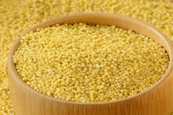 தினை அரிசி அறிவீர்களா? இவ்வளவு நன்மைகளா! | Do You Know Millet Rice So Many Benefits
