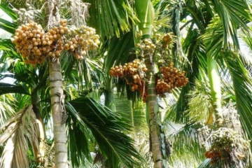 உணவின்றி இரு நாட்களாக உயிருக்கு போராடிய நபருக்கு நேர்ந்த சோக சம்பவம்!