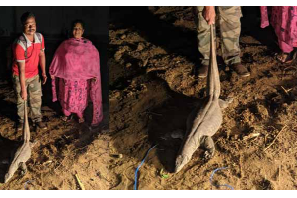 நடிகர் சிம்புவின் தாயாரை பாராட்டும் ரசிகர்கள்.. காரணம் இதுதான் | Usha Rajendar Got Wishes From Fans