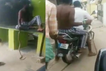 கையில் பாம்புடன் வந்த இளைஞர்... சிகிச்சையின் போதும் விடாமல் பிடித்திருந்ததால் பரபரப்பு