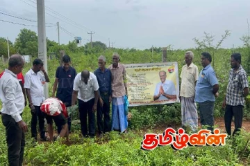 மாவை சேனாதிராசாவின் ஜனன தினத்தை முன்னிட்டு மரநடுகை