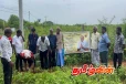 மாவை சேனாதிராசாவின் ஜனன தினத்தை முன்னிட்டு மரநடுகை