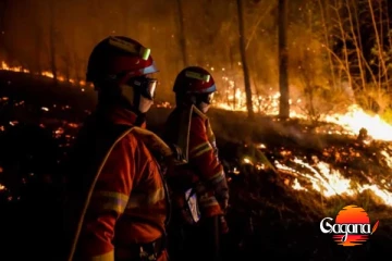 ප්‍රංශයේ දරුණු ලැව් ගින්නක්