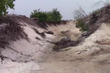 சுண்டிக்குளம் பகுதியில் மணல் அகழ்வில் ஈடுபட்ட இரண்டு உழவு இயந்திரங்களும் பறிமுதல்!