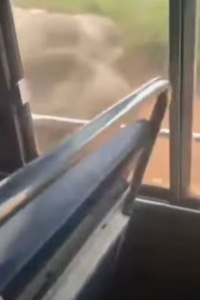 யாத்திரை சென்ற பேருந்தை தாக்கிய காட்டுயானை! | Wild Elephant Attacked A Pilgrimage Bus