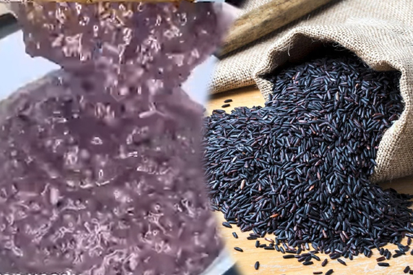 என்றும் இளமையாக இருக்கனுமா? ராஜாக்களின் உணவான இதை கண்டிப்பாக சாப்பிடுங்க | King Food Karuppu Kavuni Rice Kanji என்றும் இளமையாக இருக்கனுமா? ராஜாக்களின் உணவான இதை கண்டிப்பாக சாப்பிடுங்க | King Food Karuppu Kavuni Rice Kanji