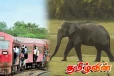 மட்டக்களப்பில் இருந்து சென்ற தொடருந்துடன் யானை மோதி உயிரிழப்பு