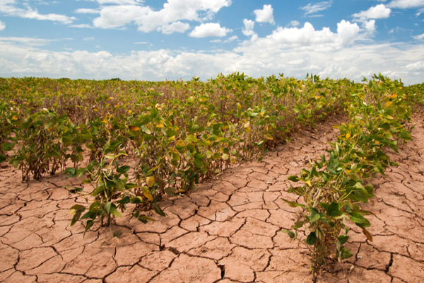 நாட்டின் ஐந்து மாவட்ட மக்கள் குடிநீர் தட்டுப்பாட்டால் பாதிப்பு | People Five Districts Affected By Water Scarcity