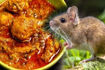 சிக்கன் கிரேவியில் கறிக்கு பதில் எலி கிடந்ததால் அதிர்ச்சி - வைரலாகும் வீடியோ!