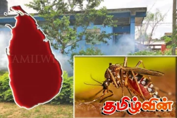 இரண்டு நாட்களுக்கு மேல் காய்ச்சல் நீடிப்பவர்களுக்கு முக்கிய அறிவுறுத்தல்