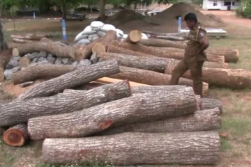 3 லட்சம் மதிப்புள்ள தேக்கு மரக் கட்டைகள்: முல்லைத் தீவில் இருந்து யாழிற்கு கடத்தல்