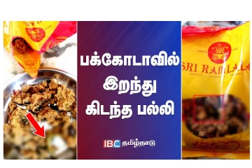 பக்கோடாவில் இறந்து கிடந்த பல்லி - வீடியோ செய்தி