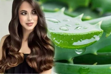 கூந்தல் காடு மாதிரி அடர்த்தியா வளரணுமா? அப்போ இந்த Aloe vera ஒன்னு போதும்