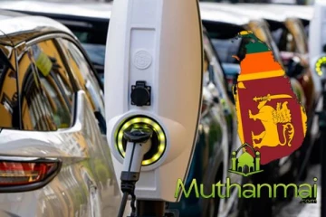 மின்சார வாகன இறக்குமதி தொடர்பில் வெளியான தகவல்