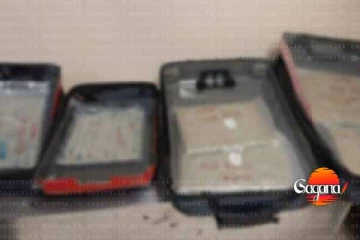 රුපියල් මිලියන 200 ඉක්මවූ කුෂ් තොගයක් සමග 4 දෙනෙක් කටුනායකදී මාට්ටු