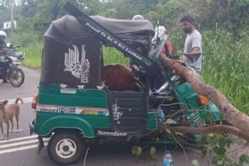 ත්‍රිවීලයට අත්තක් වැටී අනතුරක් - රියදුරු රෝහල‍ේ