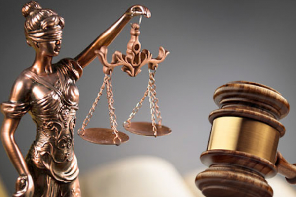 யாழில் அனுமதியின்றி தடுத்து வைக்கப்பட்ட மாடுகள் மீட்பு! | Cows Detained Without Permission In Jaffna