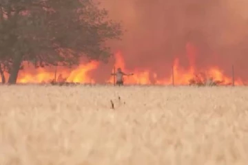 உடல் முழுவதும் தீப்பற்றியெரிய... காட்டுத்தீக்குள் வெளிப்பட்ட நபர்: திரைப்படத்தை மிஞ்சிய சம்பவம்