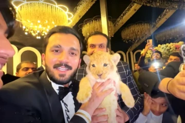 திருமணத்தில் பரிசளிக்கப்பட்ட சிங்க குட்டி - யூடியூபருக்கு கிடைத்த நூதன தண்டனை