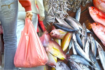 மீன் விற்பனையில் வீழ்ச்சி: வெளியான காரணம்