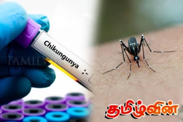 சிக்குன்குனியா வைரஸ் பரவல்: உலக சுகாதார நிறுவனம் எச்சரிக்கை