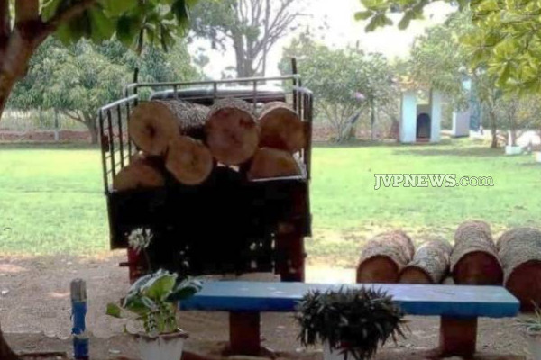 வவுனியாவில் சட்டவிரோத மரக்கடத்தல்: வாகனத்தின் மீது துப்பாக்கிச்சூடு! | Illegal Logging In Vavuniya Firing On Vehicle