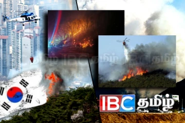 தீ பரவலால் தத்தளிக்கும் வெளிநாடு: நிர்கதியாகும் மக்கள் - உயரும் பலி எண்ணிக்கை