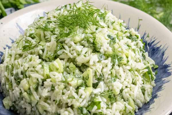 Cucumber Rice: வெறும் 10 நிமிடங்களில் ருசியான வெள்ளரிக்காய் சாதம் | Cucumber Rice Recipe Easy Vellarikkai Sadam Cucumber Rice: வெறும் 10 நிமிடங்களில் ருசியான வெள்ளரிக்காய் சாதம் | Cucumber Rice Recipe Easy Vellarikkai Sadam