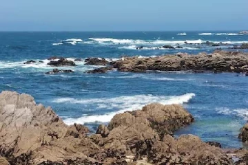 பூமி இரண்டாக பிளந்து புதிய கடல் உருவாகிறதா?