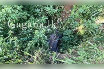 අලුතින්ම රියදුරු බලපත්‍රය ගත්ත නෝනා වාහනය අලුත් පාරක ගෙනියලා..