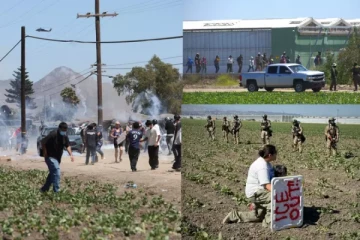 அமெரிக்காவில் ஒரே நாளில் நூற்றுக்கணக்கான வெளிநாட்டவர்கள் கைது