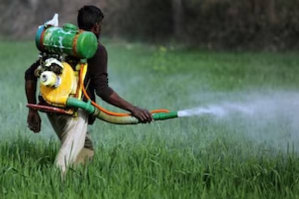 விவசாயிகளுக்கு விடுக்கப்பட்ட எச்சரிக்கை | Chemical Pesticides Sl Agriculture