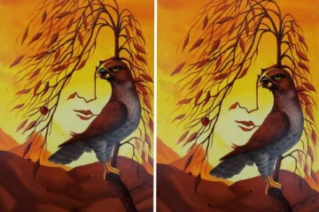 உங்களோட வசீகரமான குணத்தை கண்டுபிடிக்க ஒரு Test- படத்தில் தெரிவது என்ன?