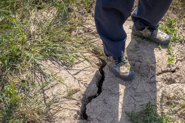 வறட்சியை போக்க புதிய திட்டம் : செயற்கை மழையினை உருவாக்கும் சீனா | China Plan Chemicals To Generate Rain