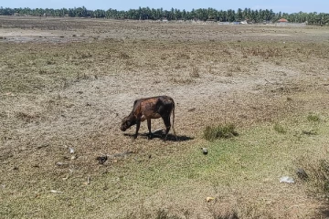 மட்டக்களப்பில் வறண்டுபோன பூமி; மக்கள் கவலை